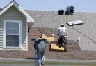Roger Riverskylights-2.jpg; ?>